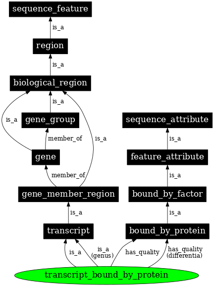 Graph image for SO:0000279