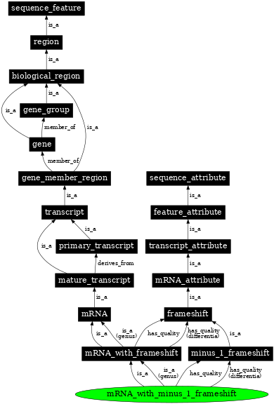 Graph image for SO:0000282