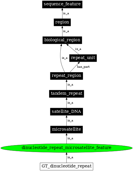 Graph image for SO:0000290