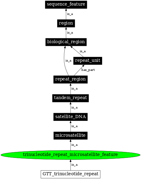 Graph image for SO:0000291