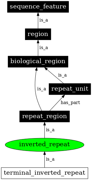 Graph image for SO:0000294