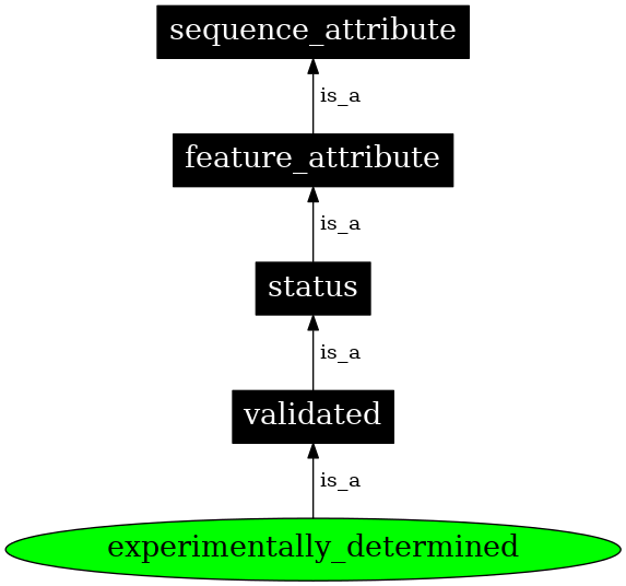 Graph image for SO:0000312