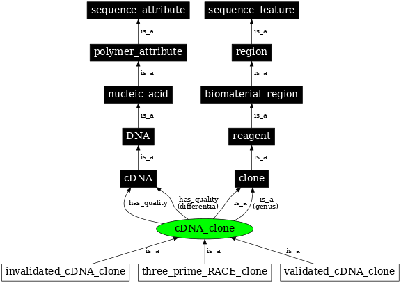 Graph image for SO:0000317