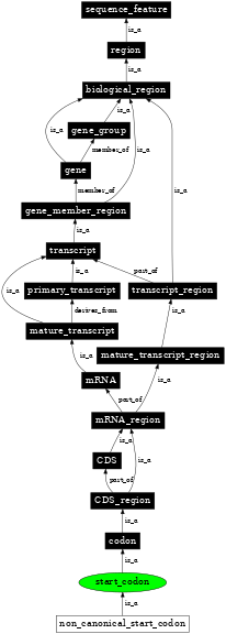 Graph image for SO:0000318