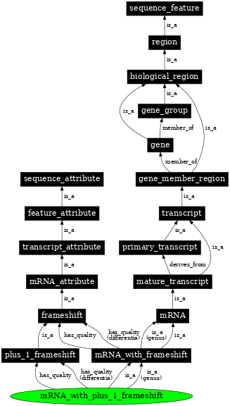 Graph image for SO:0000321