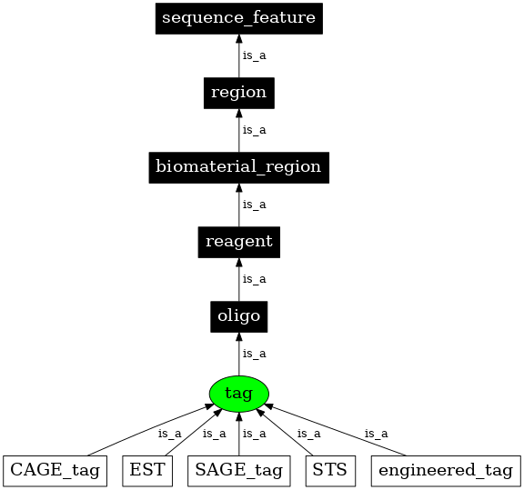 Graph image for SO:0000324