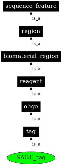 Graph image for SO:0000326