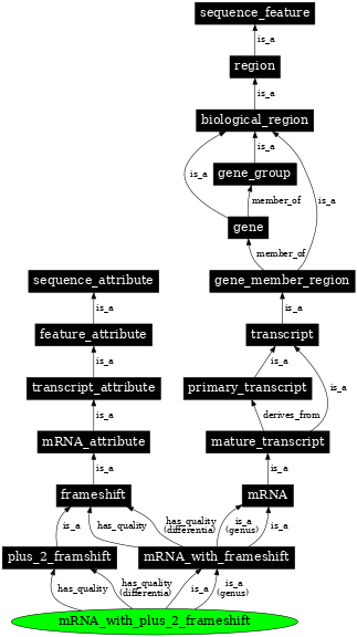 Graph image for SO:0000329