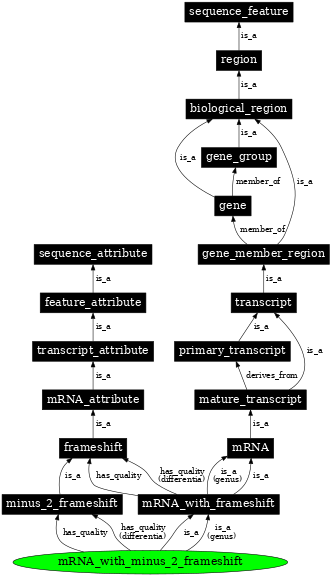 Graph image for SO:0000335