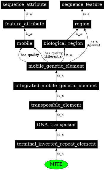 Graph image for SO:0000338