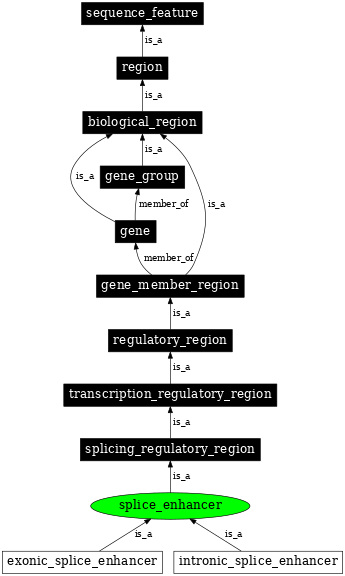 Graph image for SO:0000344