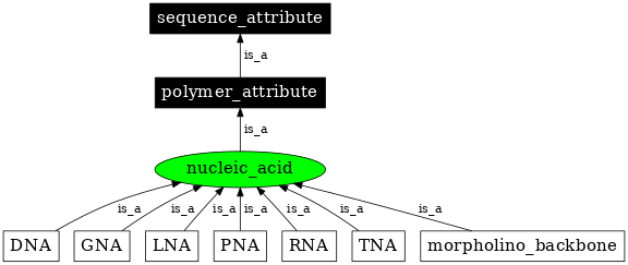 Graph image for SO:0000348