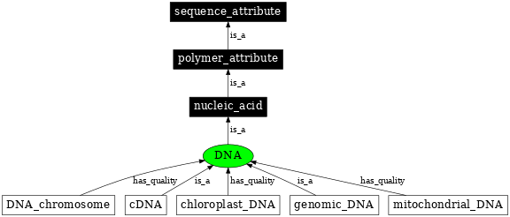 Graph image for SO:0000352