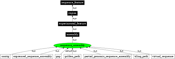 Graph image for SO:0000353