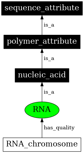 Graph image for SO:0000356