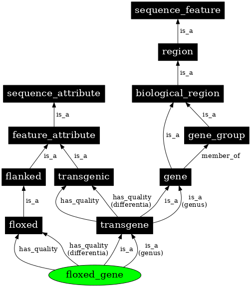 Graph image for SO:0000363