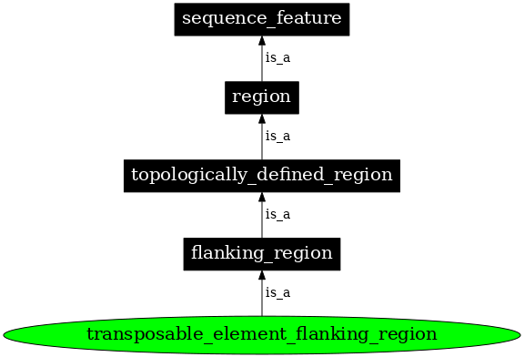 Graph image for SO:0000364