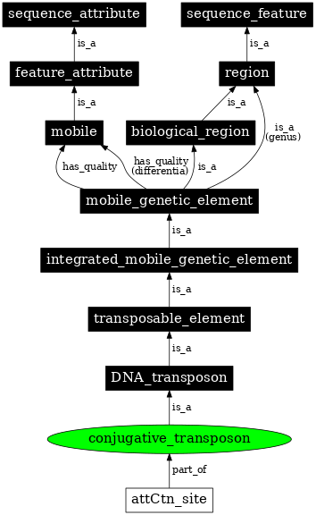 Graph image for SO:0000371