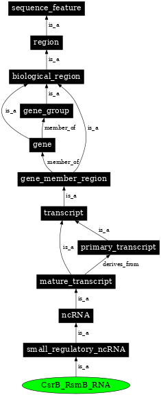 Graph image for SO:0000377