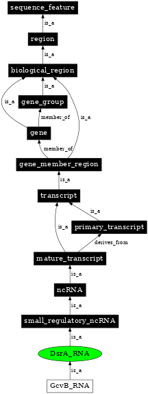 Graph image for SO:0000378