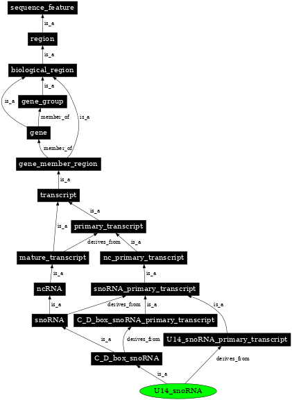 Graph image for SO:0000403