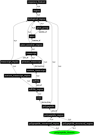 Graph image for SO:0000417