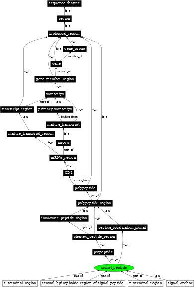 Graph image for SO:0000418