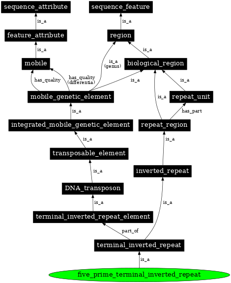 Graph image for SO:0000420