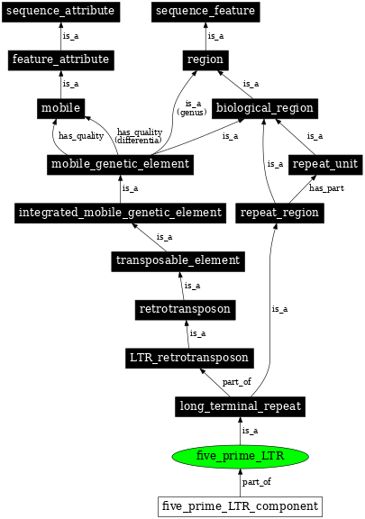 Graph image for SO:0000425