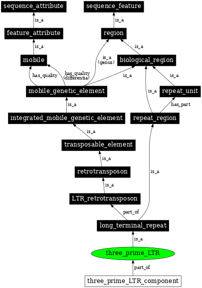 Graph image for SO:0000426