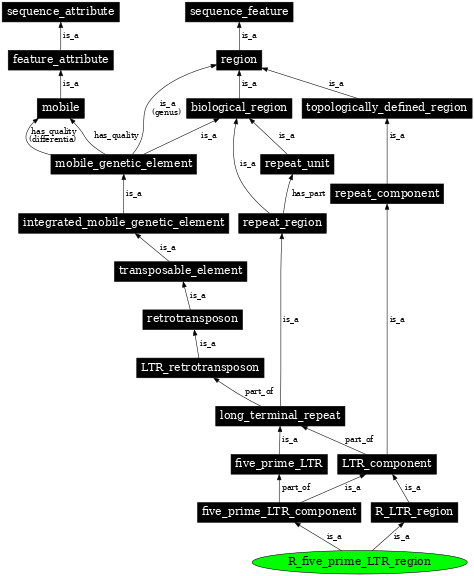 Graph image for SO:0000427