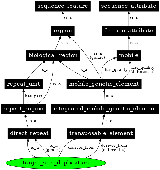 Graph image for SO:0000434