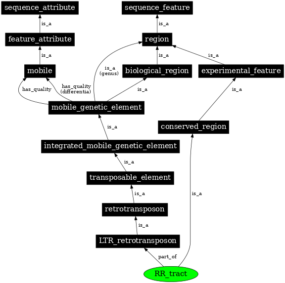 Graph image for SO:0000435