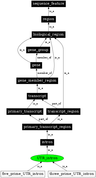 Graph image for SO:0000446