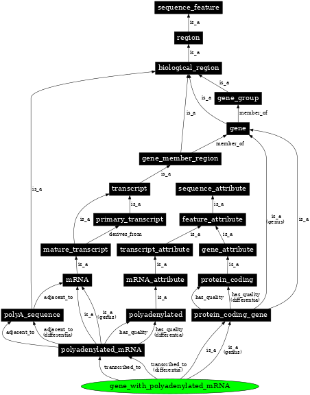 Graph image for SO:0000451