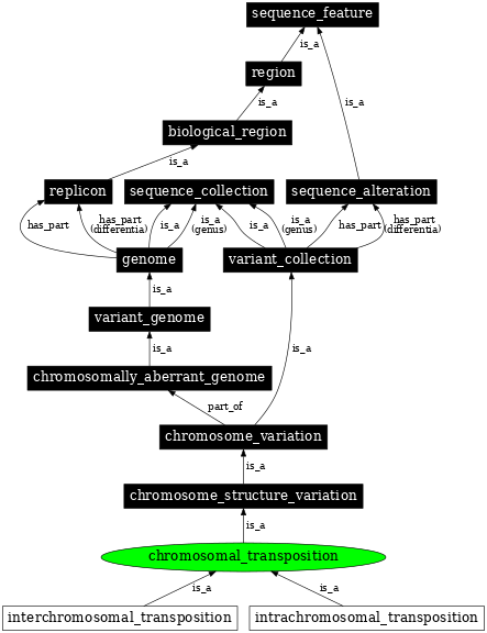 Graph image for SO:0000453