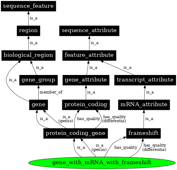 Graph image for SO:0000455