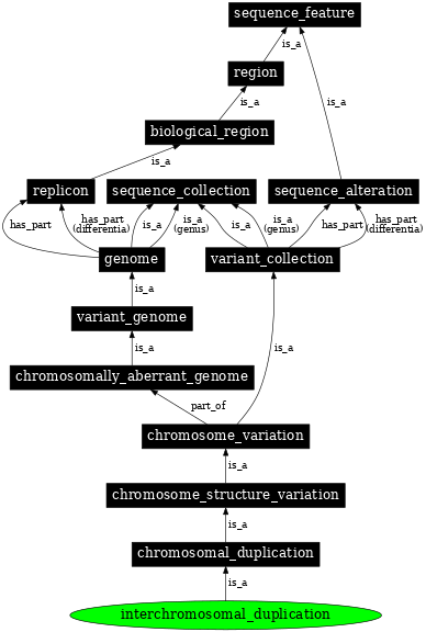 Graph image for SO:0000457