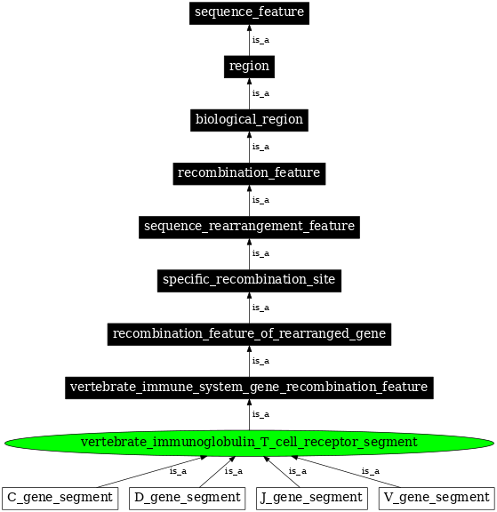 Graph image for SO:0000460