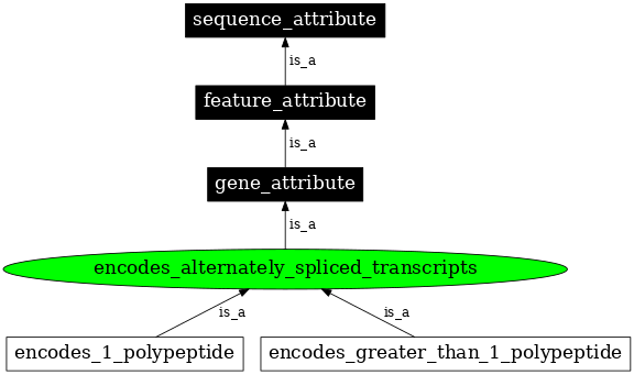 Graph image for SO:0000463