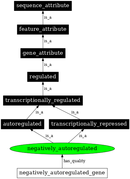 Graph image for SO:0000473