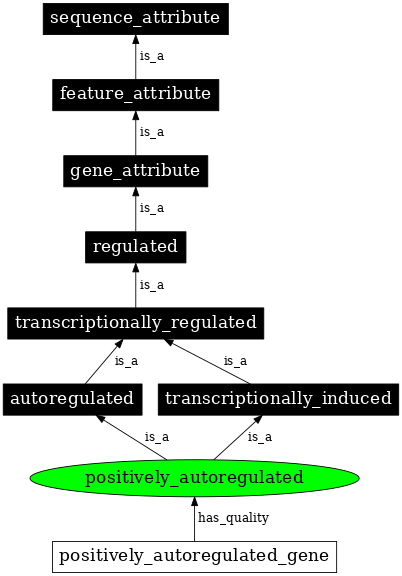 Graph image for SO:0000475