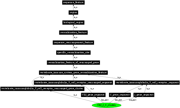 Graph image for SO:0000487