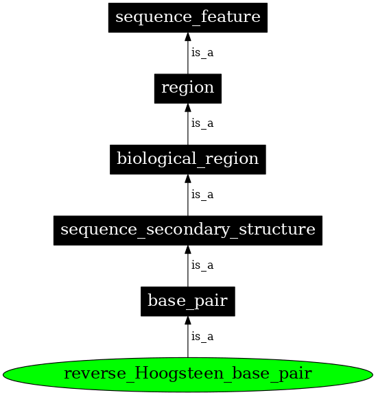 Graph image for SO:0000501