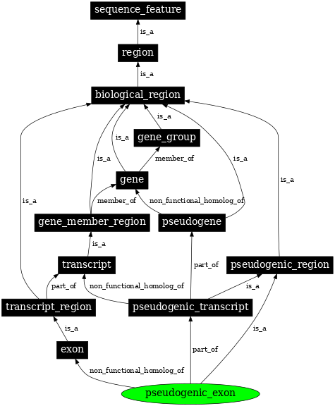 Graph image for SO:0000507