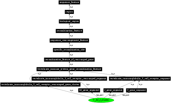 Graph image for SO:0000519