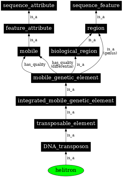 Graph image for SO:0000544