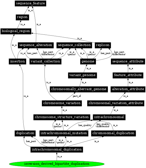 Graph image for SO:0000547