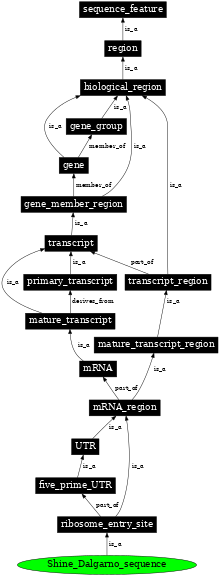 Graph image for SO:0000552