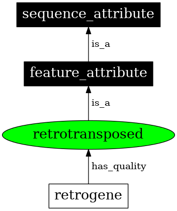 Graph image for SO:0000569